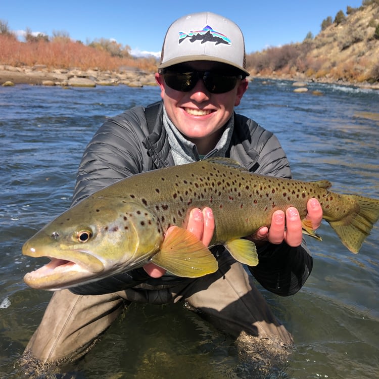 Animas River 3/15/20 - Heads Up Fly Fishing