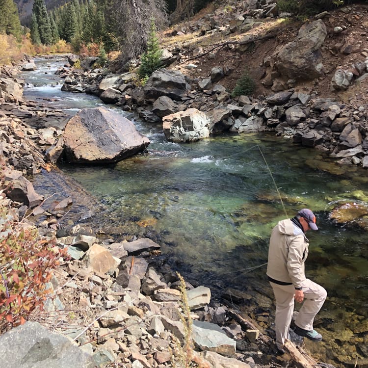 Creek Fishing Guides In Durango Colorado